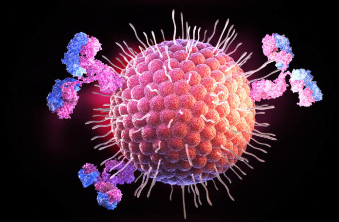 Autoimmunerkrankungen - Herpes-Virus und Körperzelle