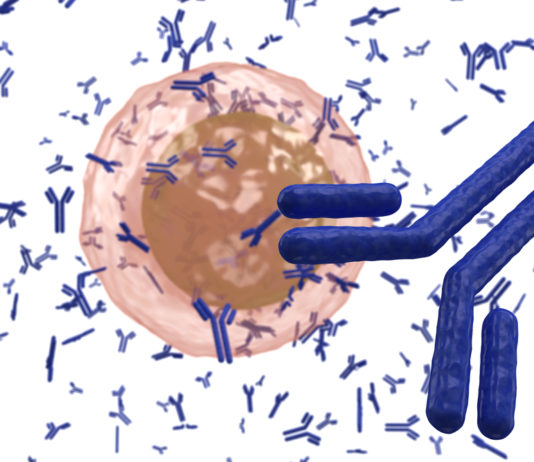 Antikörper in Nahaufnahme vor einer Zelle, (c) Depositphotos @exty