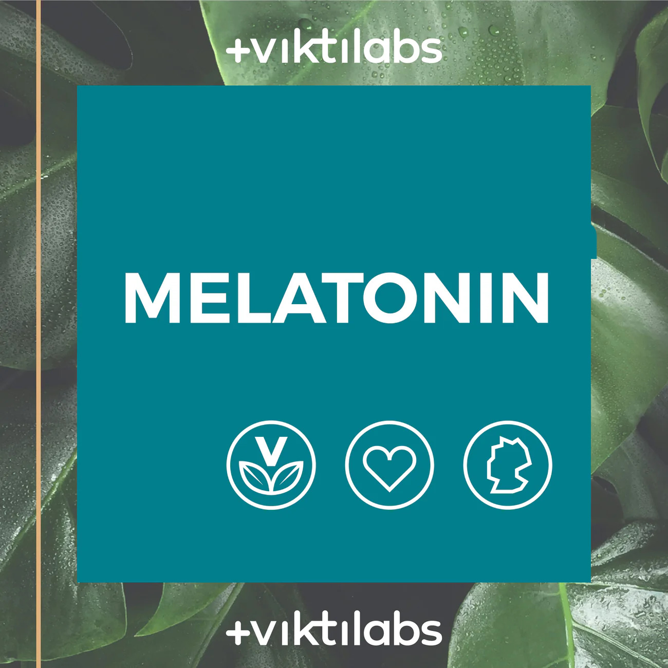 MelatoninMockup2Artboard1-100_1300x
