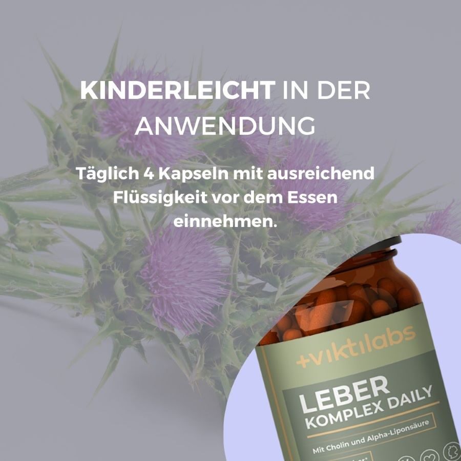 Produktbild_Leber Komplex Daily anwendung