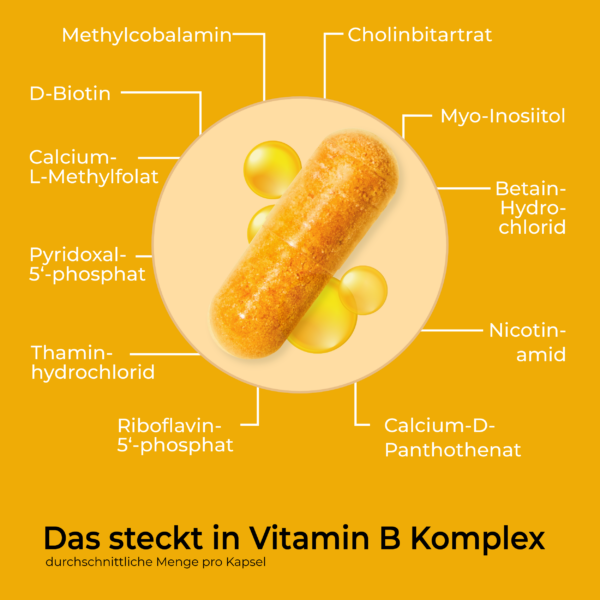 07-Viktilabs-VitaminBKomplexForte-Zusammensetzung (3)
