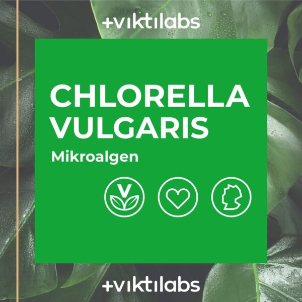 Chlorella Vulgaris von Viktilabs