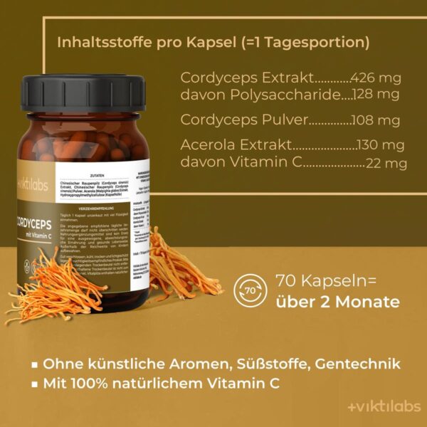 Cordyceps Vitalpilz von Viktilabs