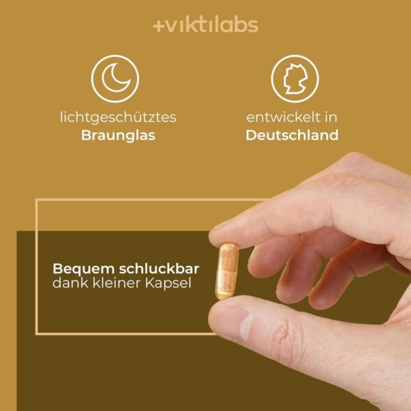 Cordyceps Vitalpilz von Viktilabs