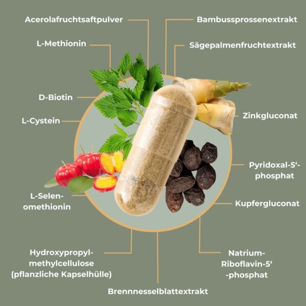 HaarVital Komplex Daily